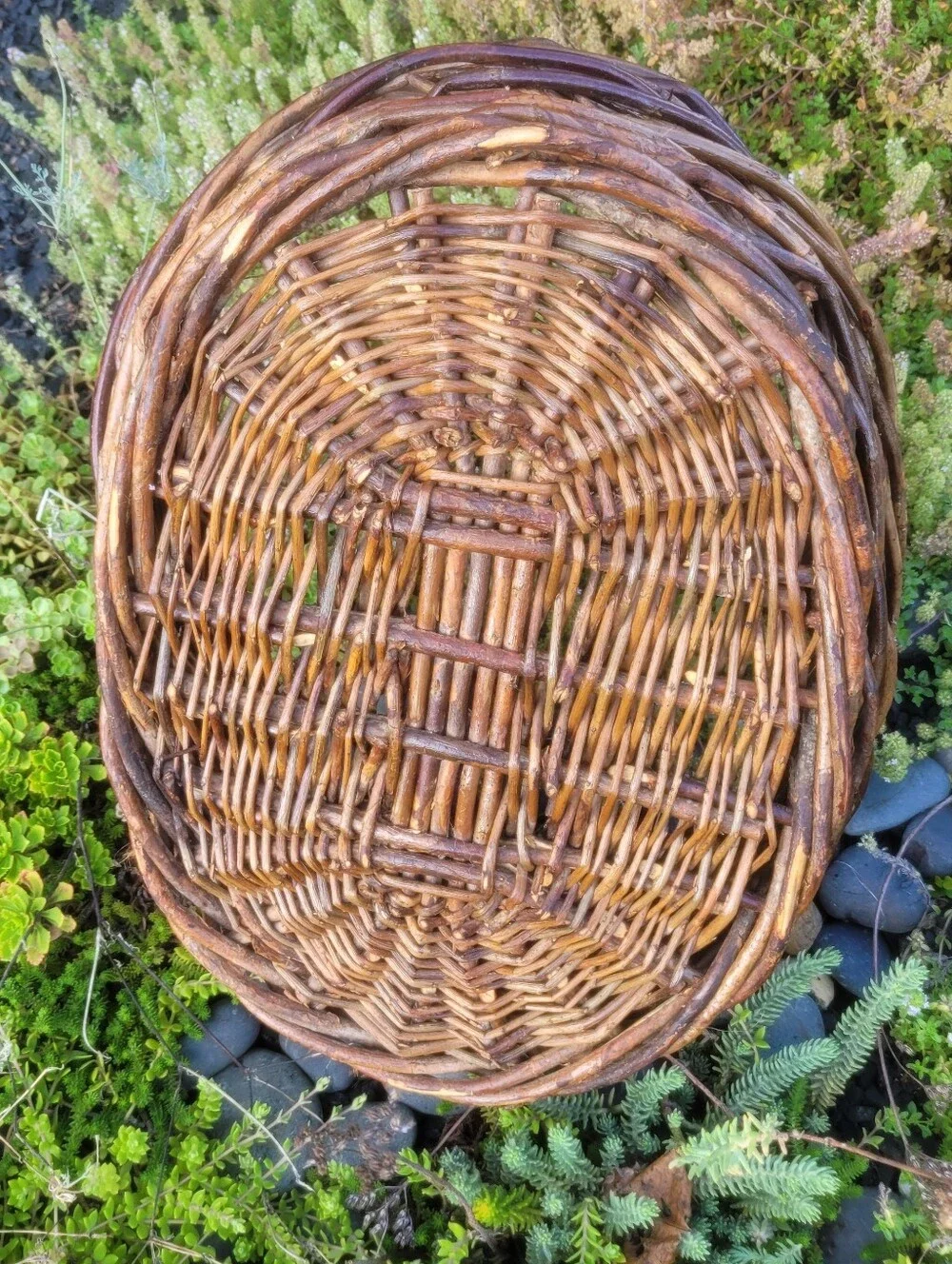 Large Dark Willow Gathering Basket with Arched Twisted Handle Handmade Vintage